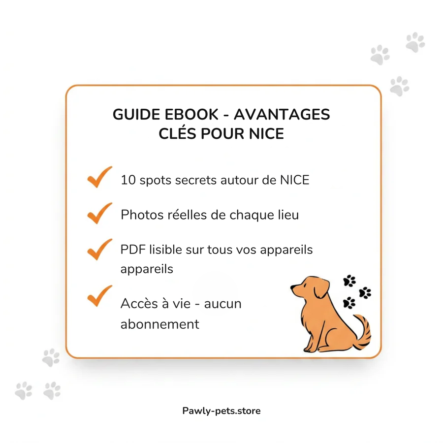 10 Promenades secrètes pour Chiens autour de Nice
