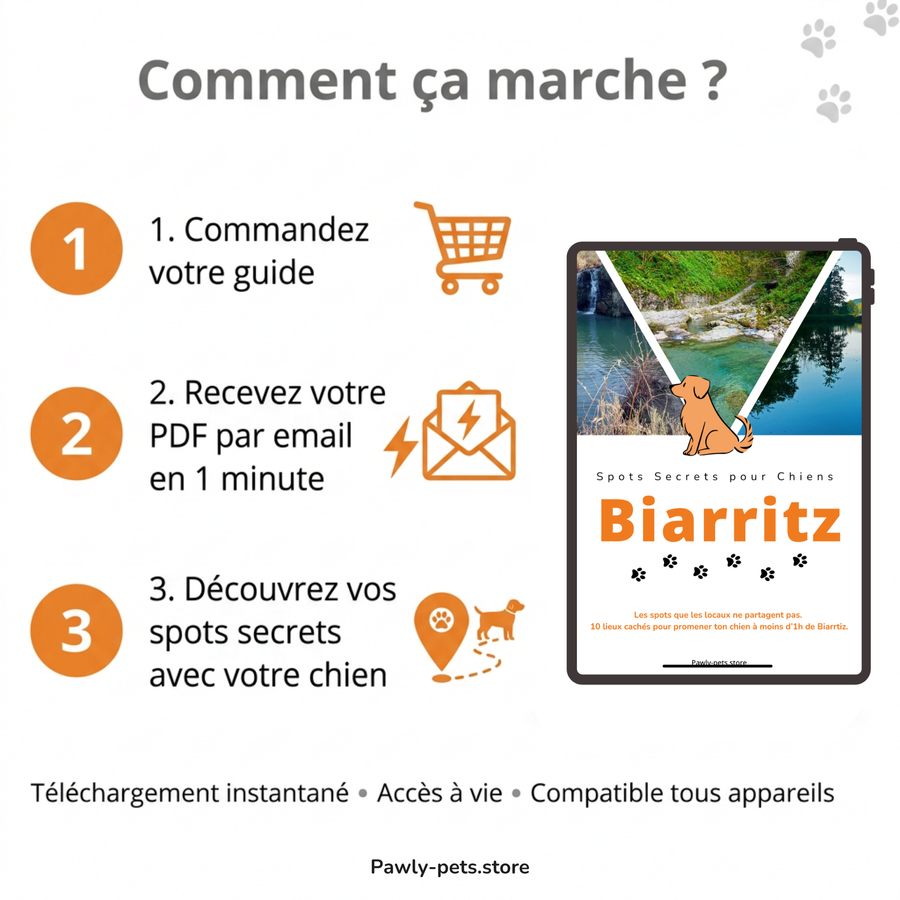 10 Promenades secrètes pour Chiens autour de Biarritz