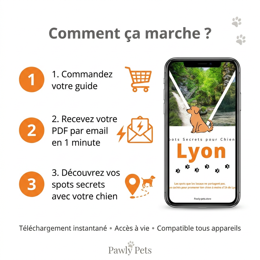 10 Promenades secrètes pour Chiens autour de Lyon
