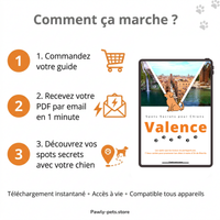 7 Promenades secrètes pour Chiens autour de Valence
