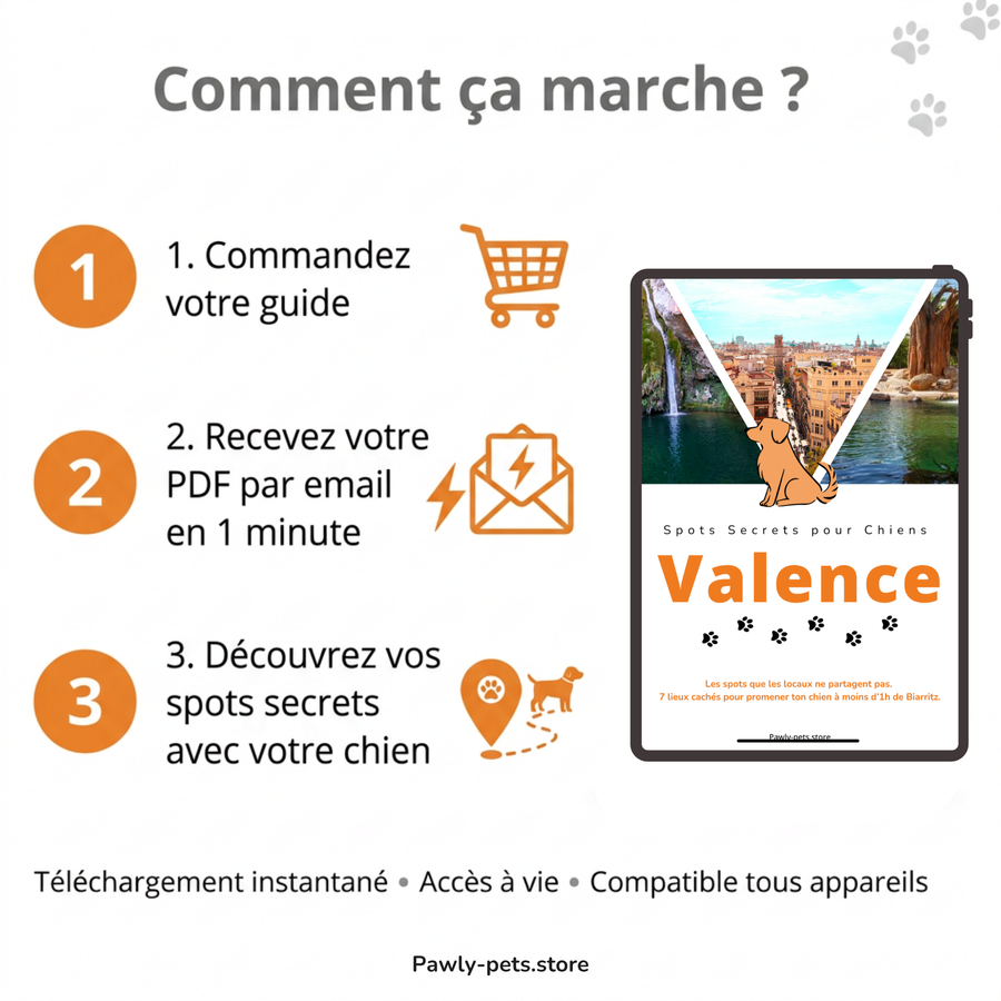 7 Promenades secrètes pour Chiens autour de Valence