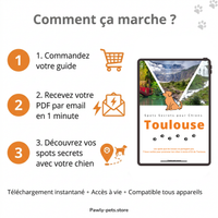 7 Promenades secrètes pour Chiens autour de Toulouse