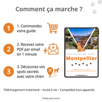 10 Promenades secrètes pour Chiens autour de Montpellier