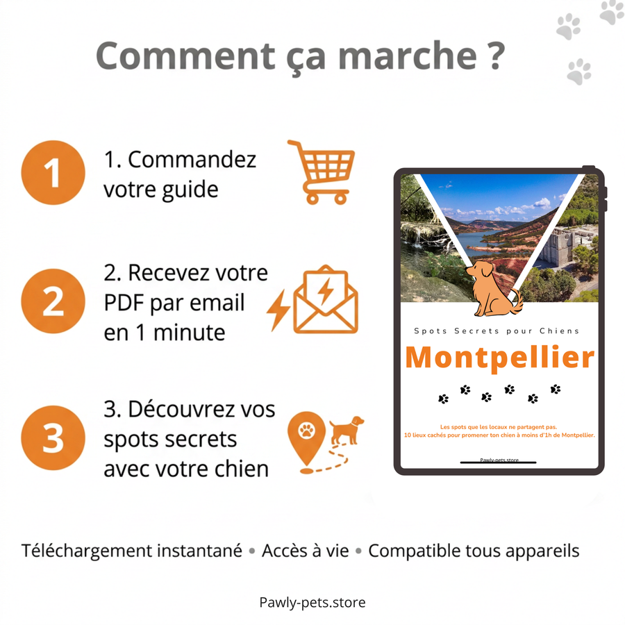 10 Promenades secrètes pour Chiens autour de Montpellier