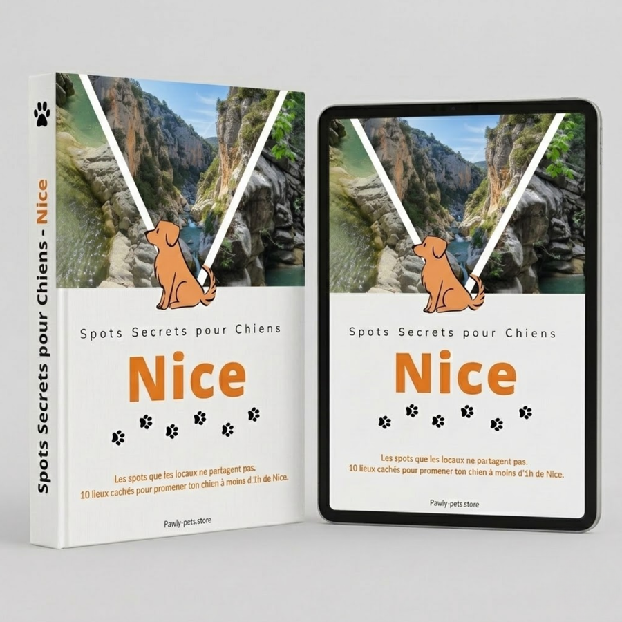 10 Promenades secrètes pour Chiens autour de Nice