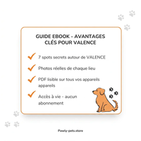 7 Promenades secrètes pour Chiens autour de Valence