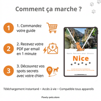 10 Promenades secrètes pour Chiens autour de Nice