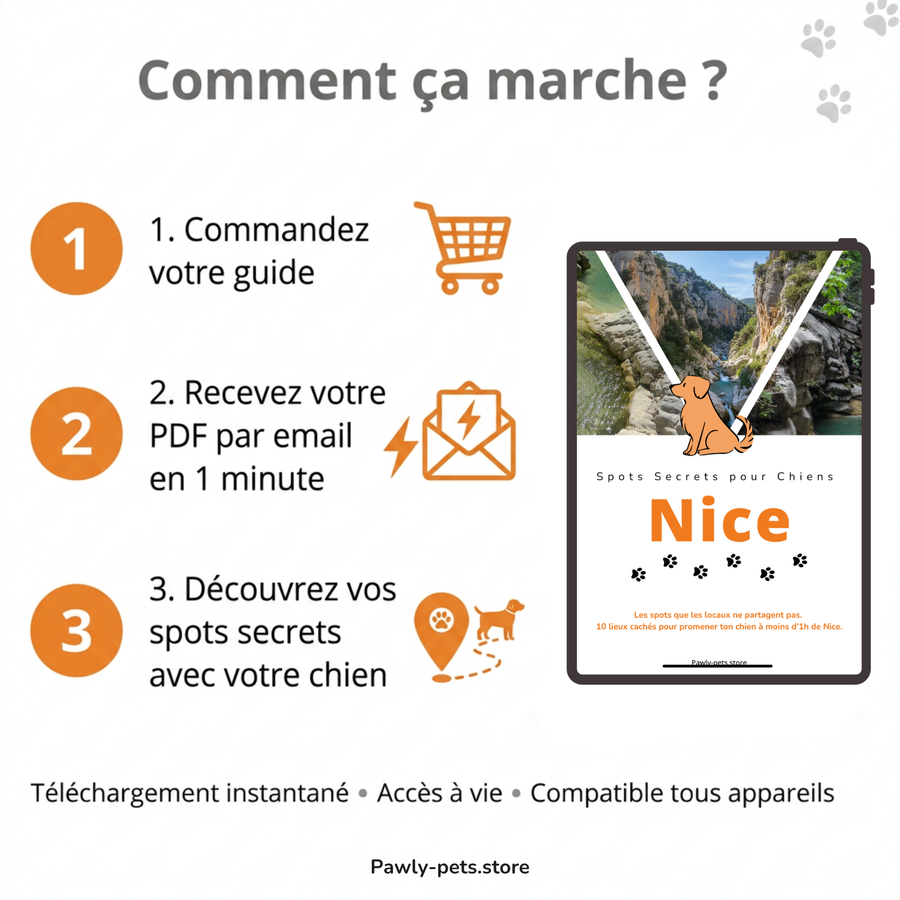 10 Promenades secrètes pour Chiens autour de Nice