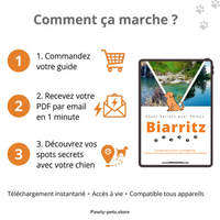 10 Promenades secrètes pour Chiens autour de Biarritz
