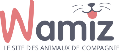 Wamiz