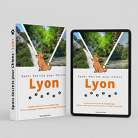 10 Promenades secrètes pour Chiens autour de Lyon
