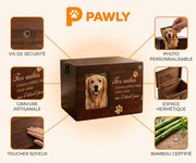 Pawly - Memory Box