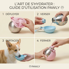 Pawly - Gourde