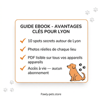 10 Promenades secrètes pour Chiens autour de Lyon